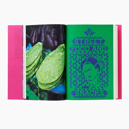 Livro Mexico Phaidon Press - Modern Mood