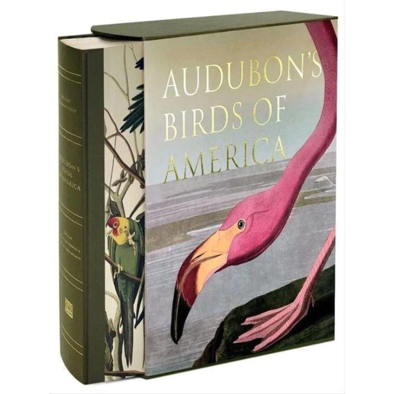 Livro Audubon's Birds of America Ingram - Modern Mood