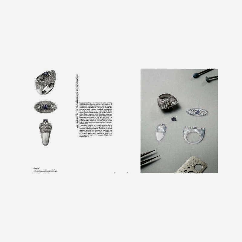 Livro Cartier: Le Voyage Recommencé Flammarion - Modern Mood