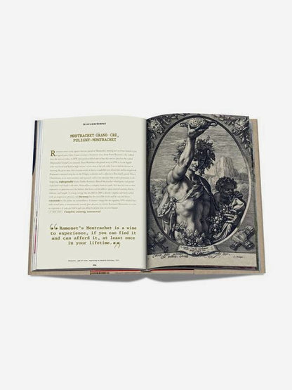 Livro The 100 Burgundy Assouline - Modern Mood