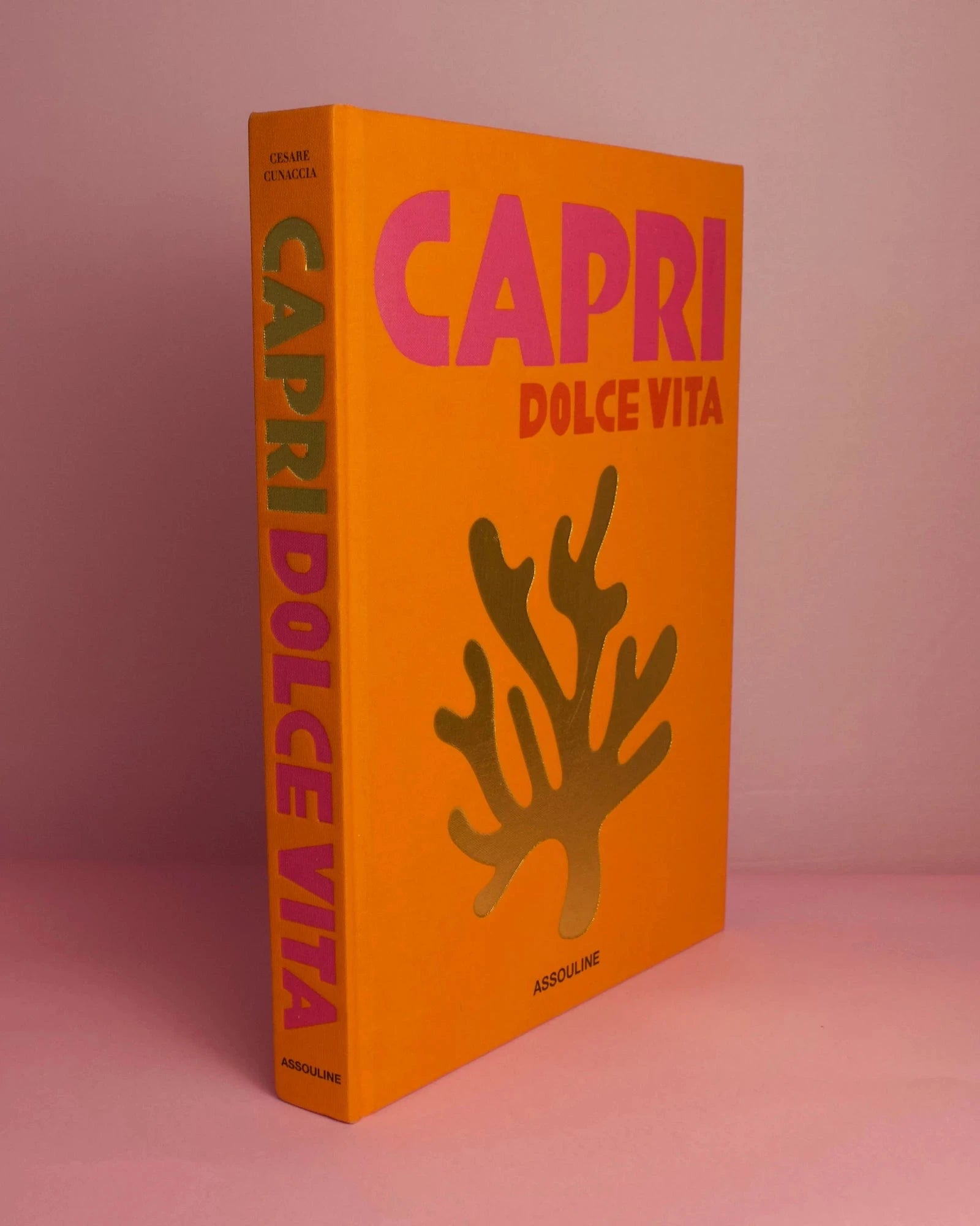 Livro Assouline Capri Dolce Vita - Modern Mood [WEBP]