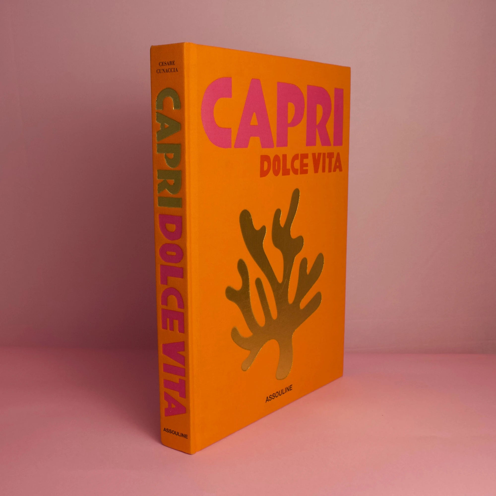 Livro Assouline Capri Dolce Vita - Modern Mood [WEBP]