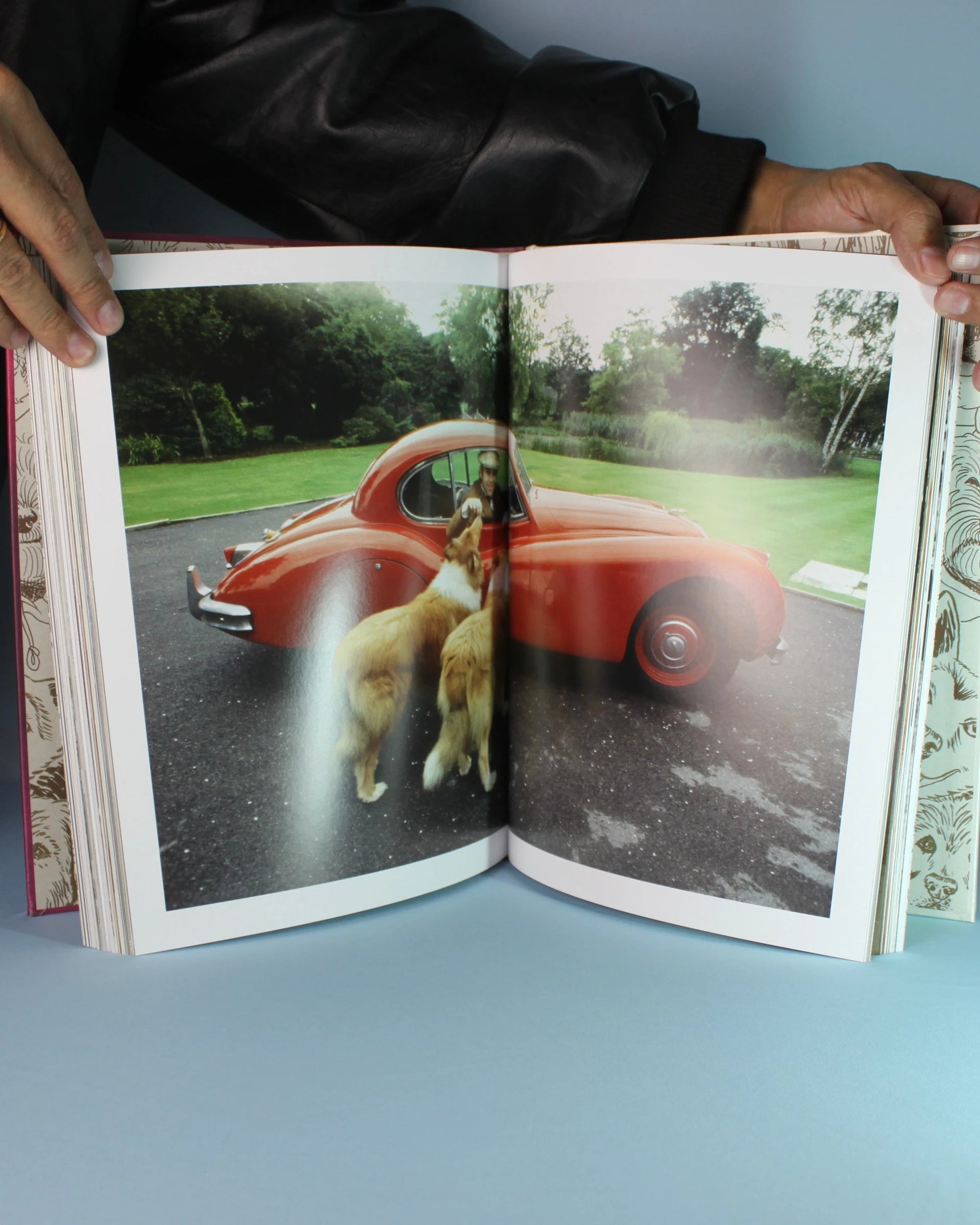 Livro Chic Dogs Assouline [WEBP]
