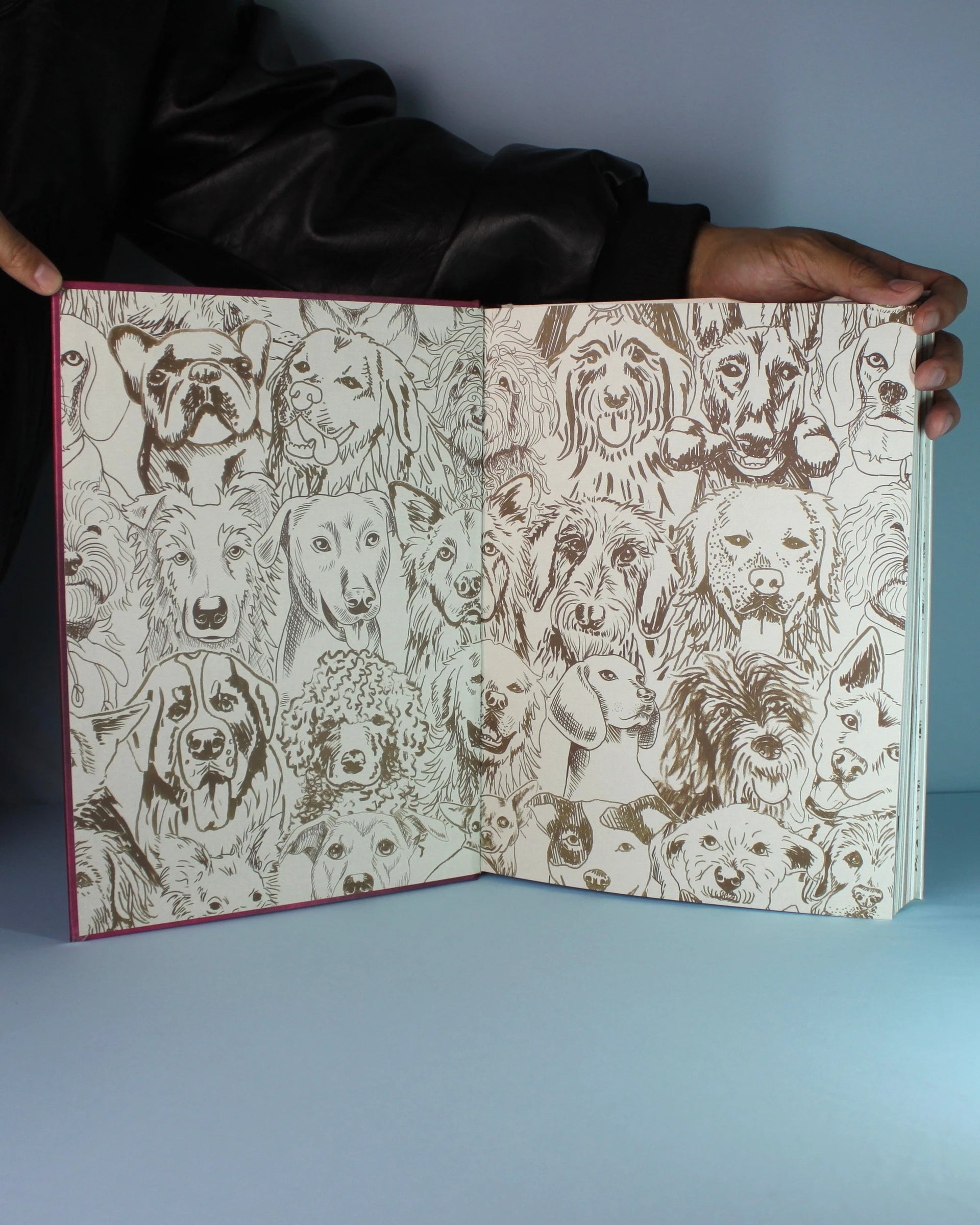 Livro Chic Dogs Assouline [WEBP]