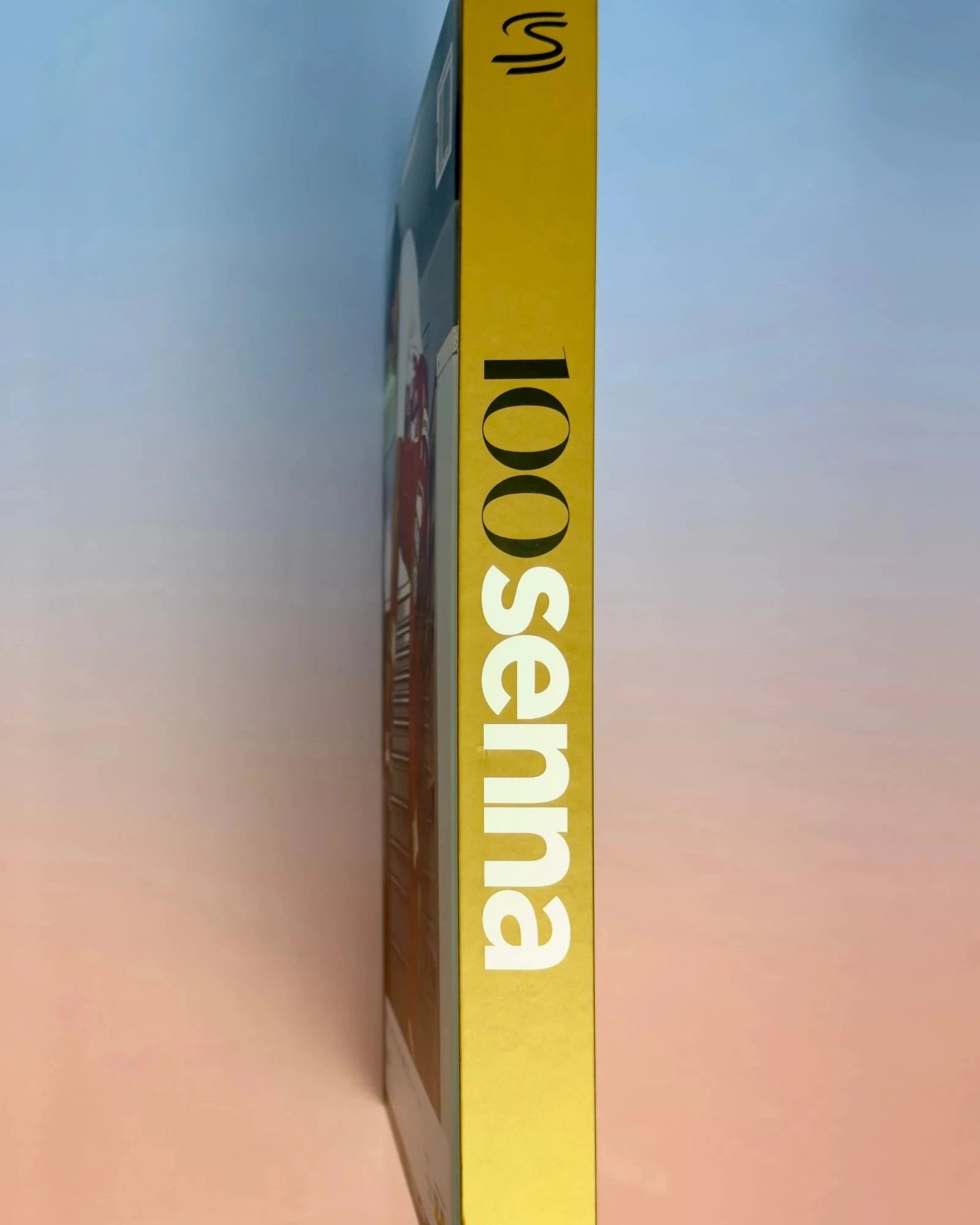 Livro 100 Senna - Edição Especial 30 Anos - Modern Mood [WEBP]
