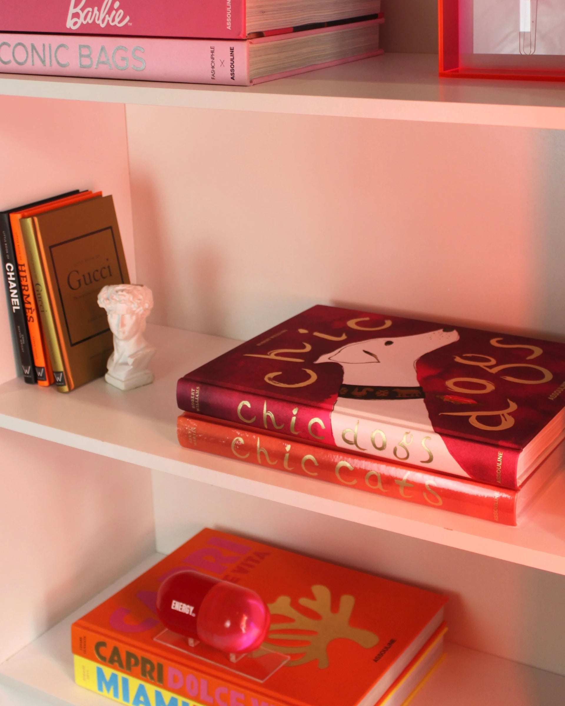 Livro Chic Cats Assouline [WEBP]