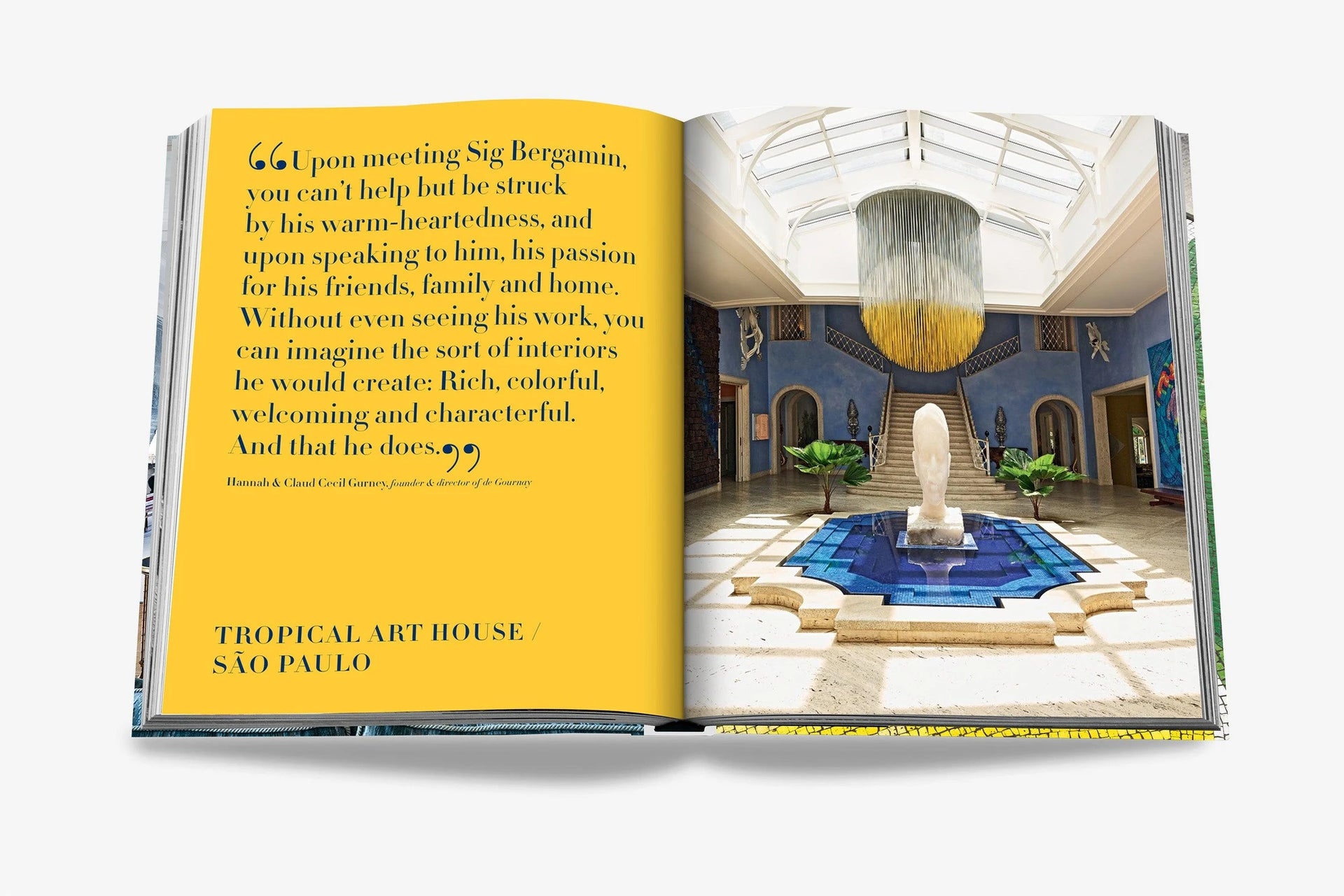 Product Image 5 [WEBP]