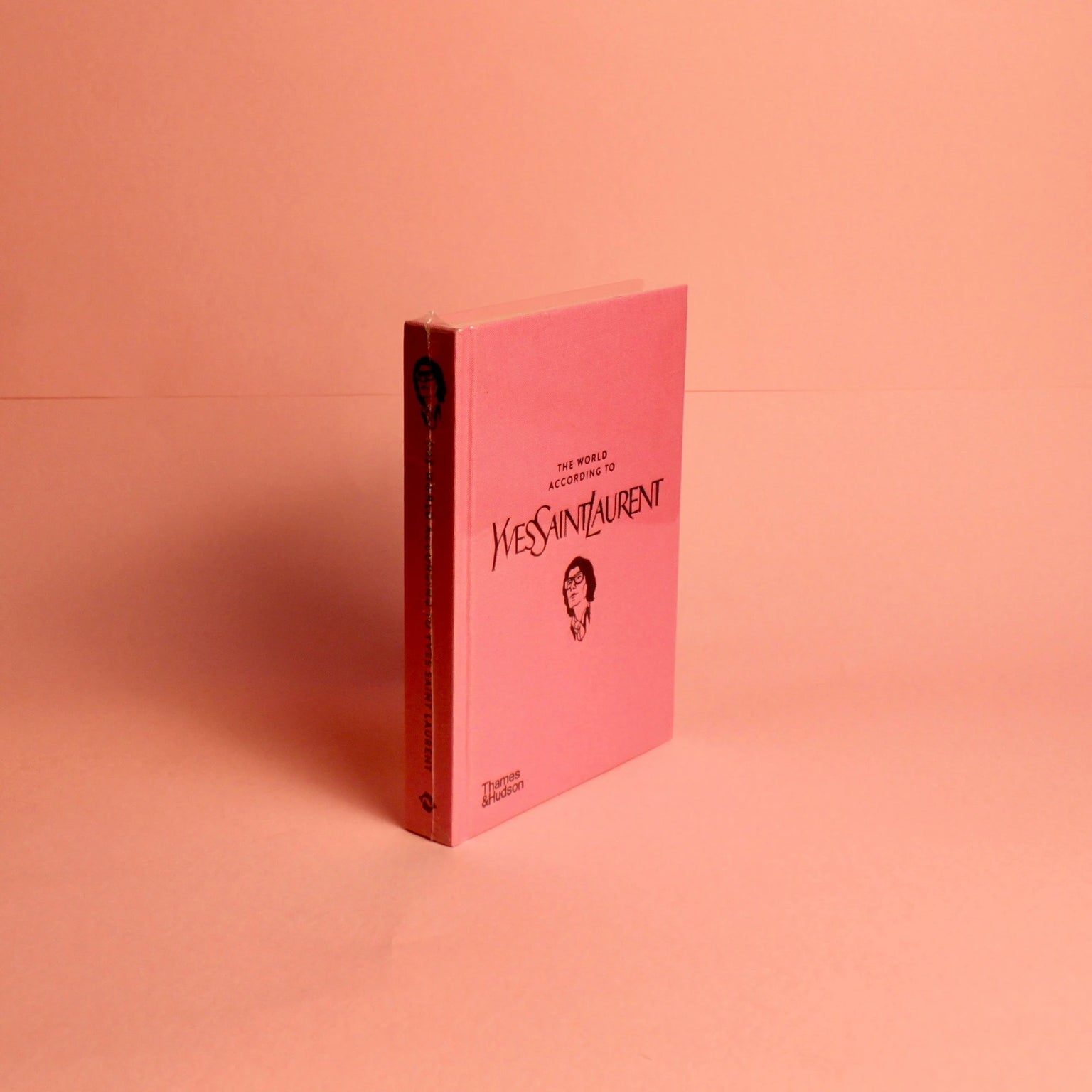 Livro "The World according to Yves Saint Laurent" - Modern Mood [WEBP]