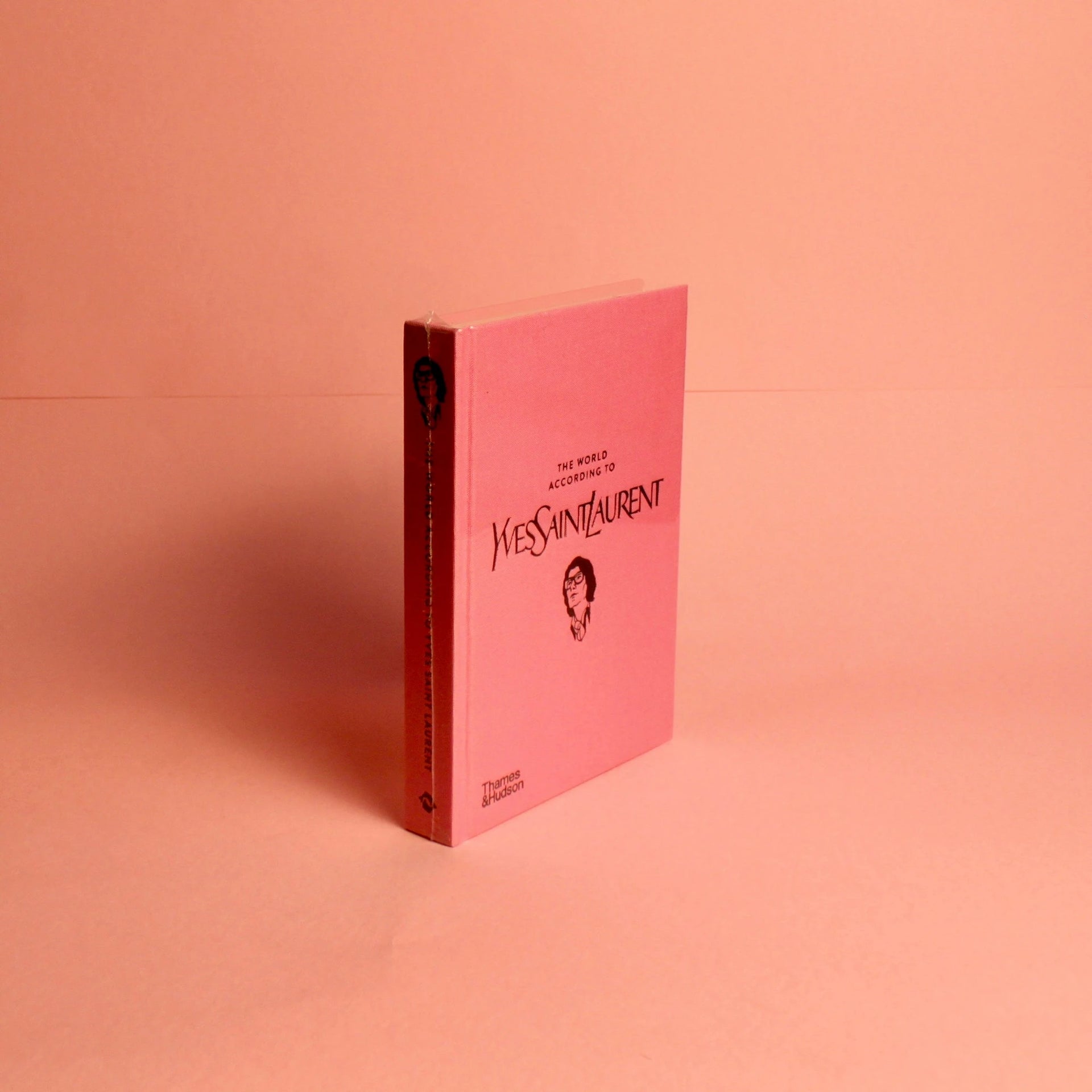 Livro "The World according to Yves Saint Laurent" - Modern Mood [WEBP]