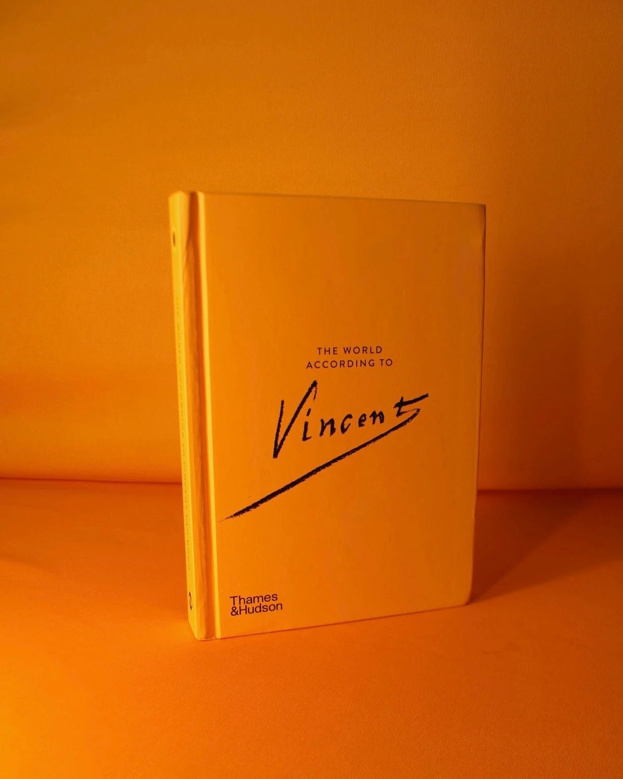 Livro The World According To Vincent Van Gogh: 7 Thames & Hudson - Modern Mood [WEBP]