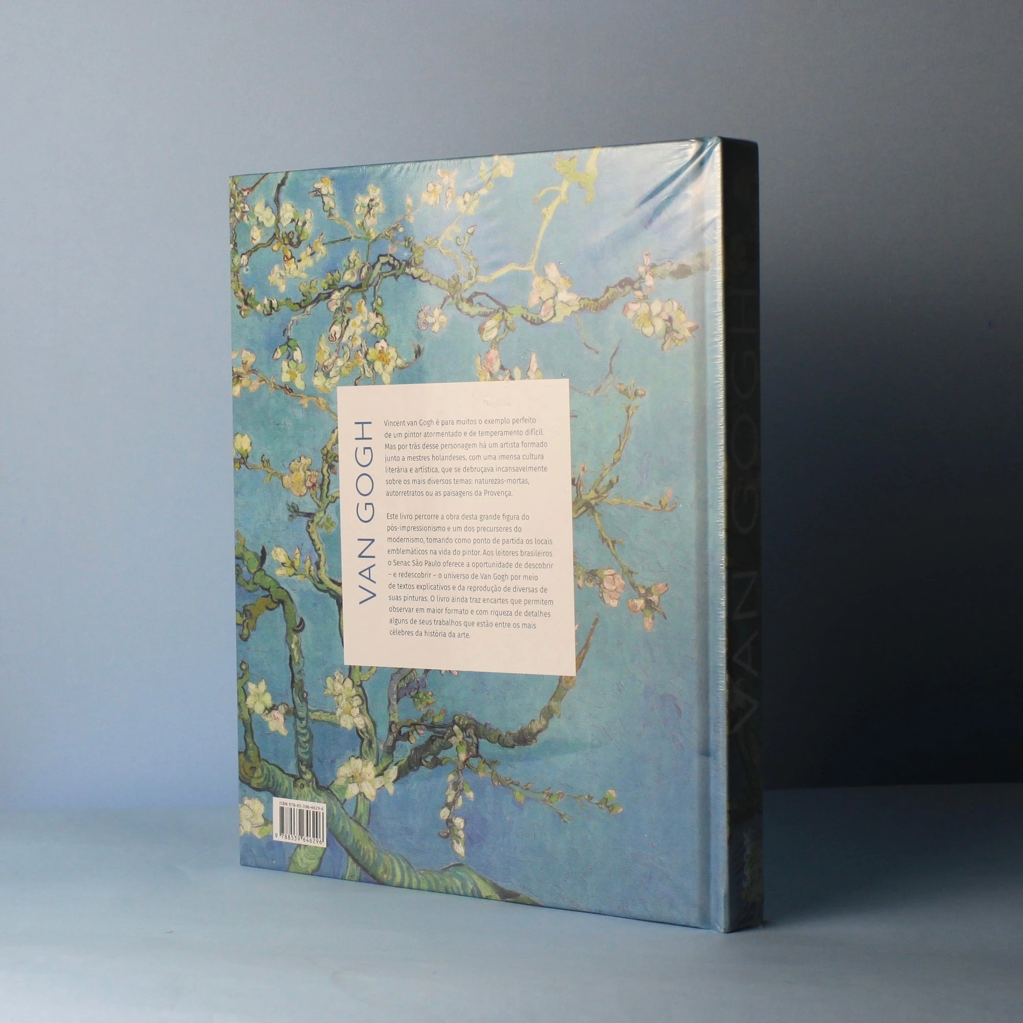 Livro Van Gogh - Modern Mood [WEBP]
