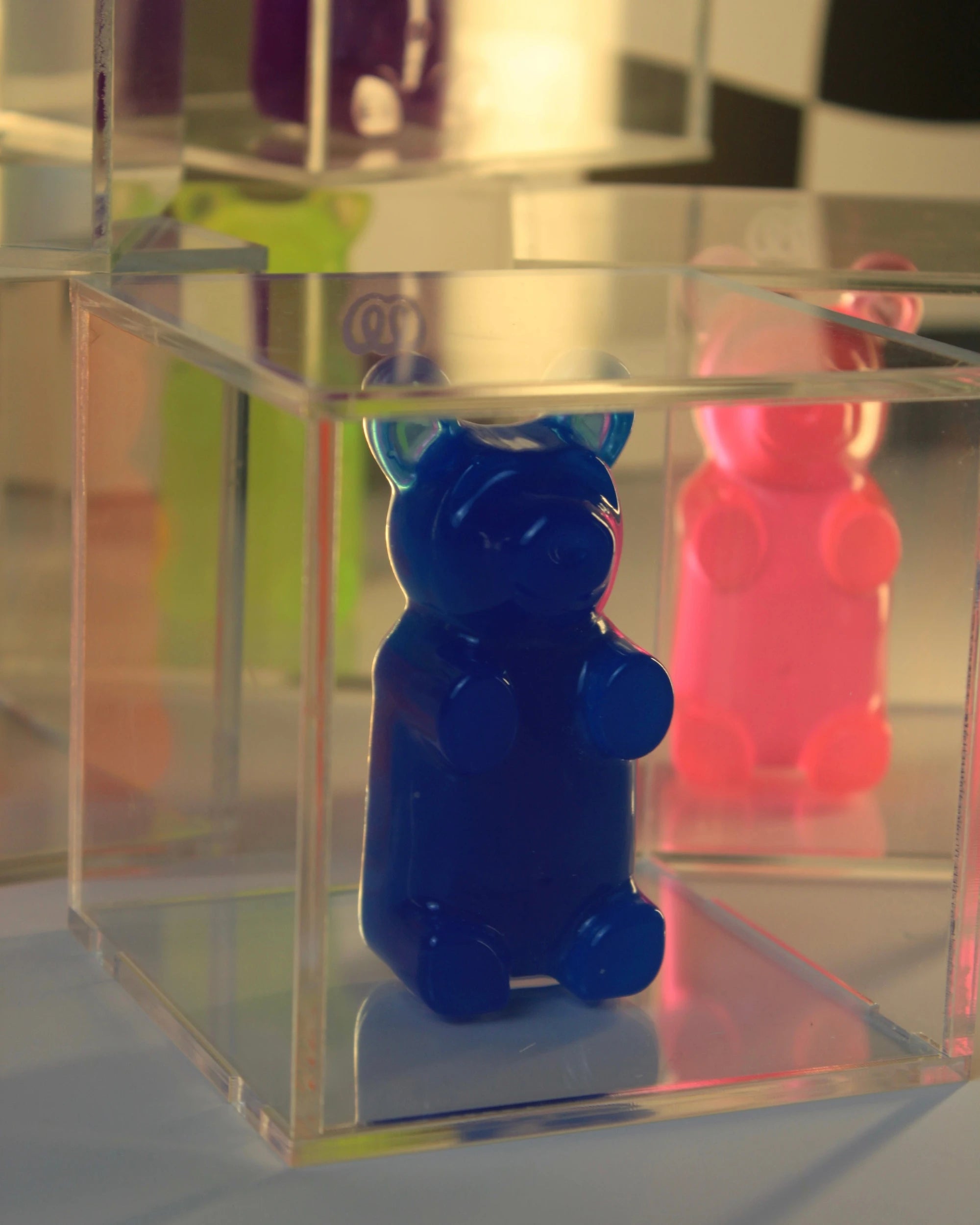 Candy Cube  - Urso na Caixa de Acrílico - Modern Mood [WEBP]