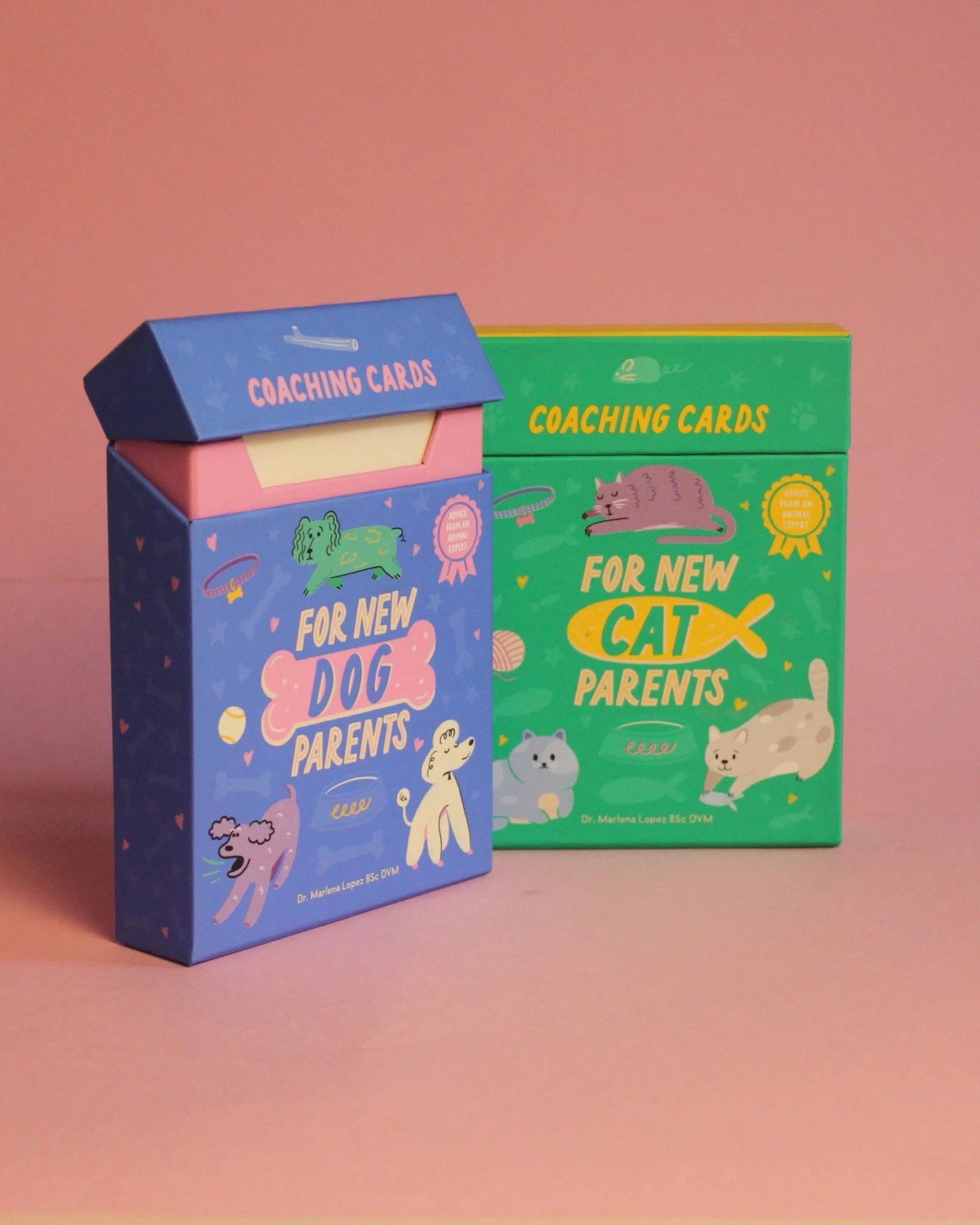 Livro Cartas for New Cat Parents - Para Novos Pais de Gatos - Modern Mood [WEBP]