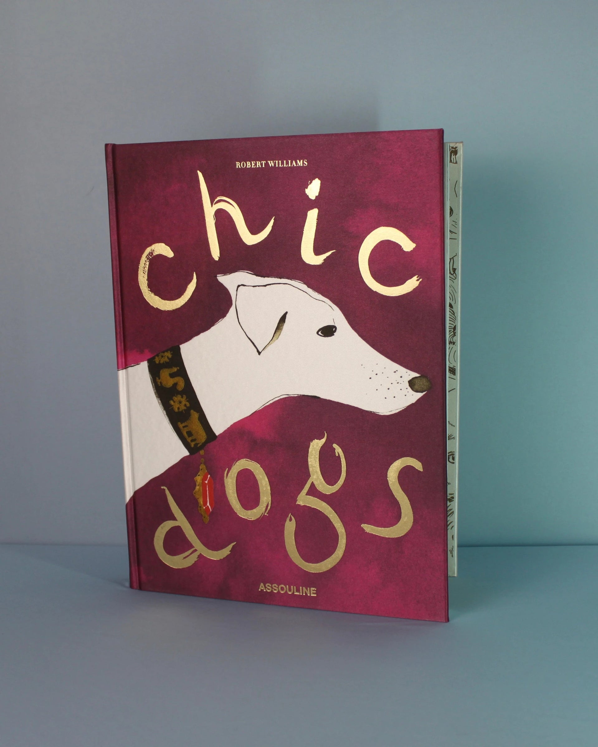 Livro Chic Dogs Assouline [WEBP]