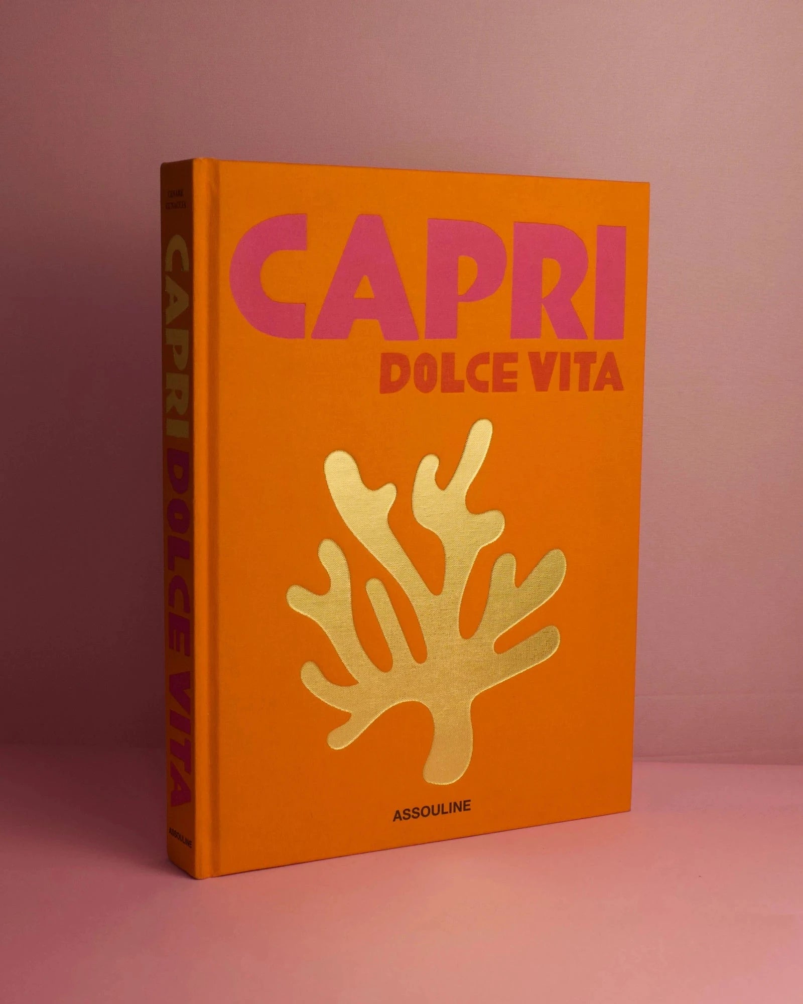 Livro Capri Dolce Vita Assouline em capa dura de luxo para decoração sofisticada e coleção [WEBP]