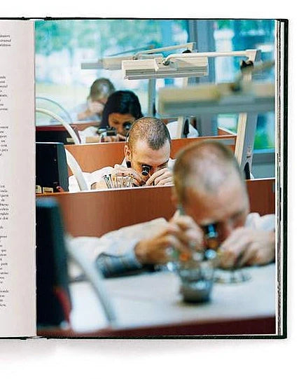 Livro Rolex -  The Watch Book (3rd Updated And Extended Edition) - Modern Mood [WEBP]