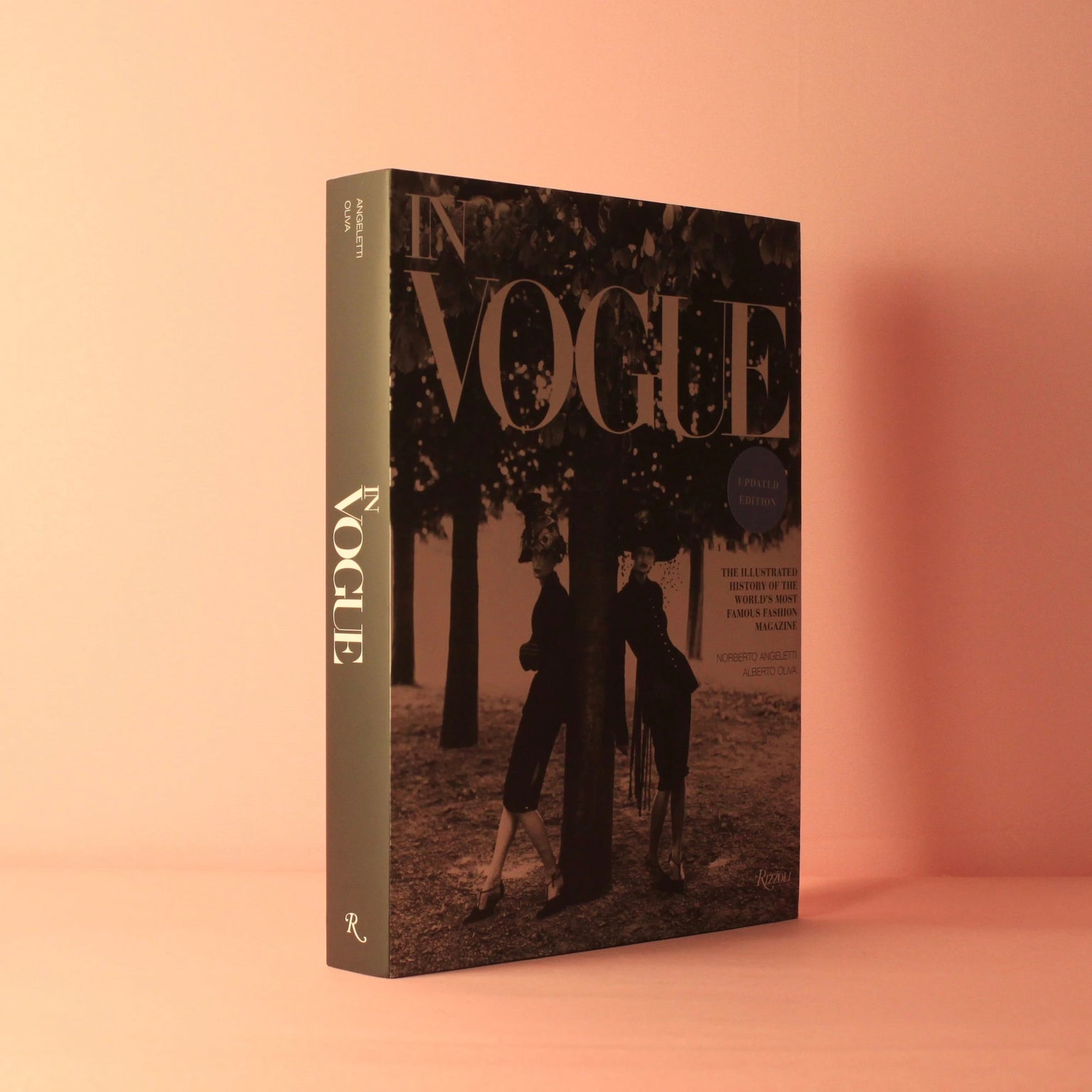 Livro In Vogue Rizzoli coffee table book de moda e fotografia editorial [WEBP]