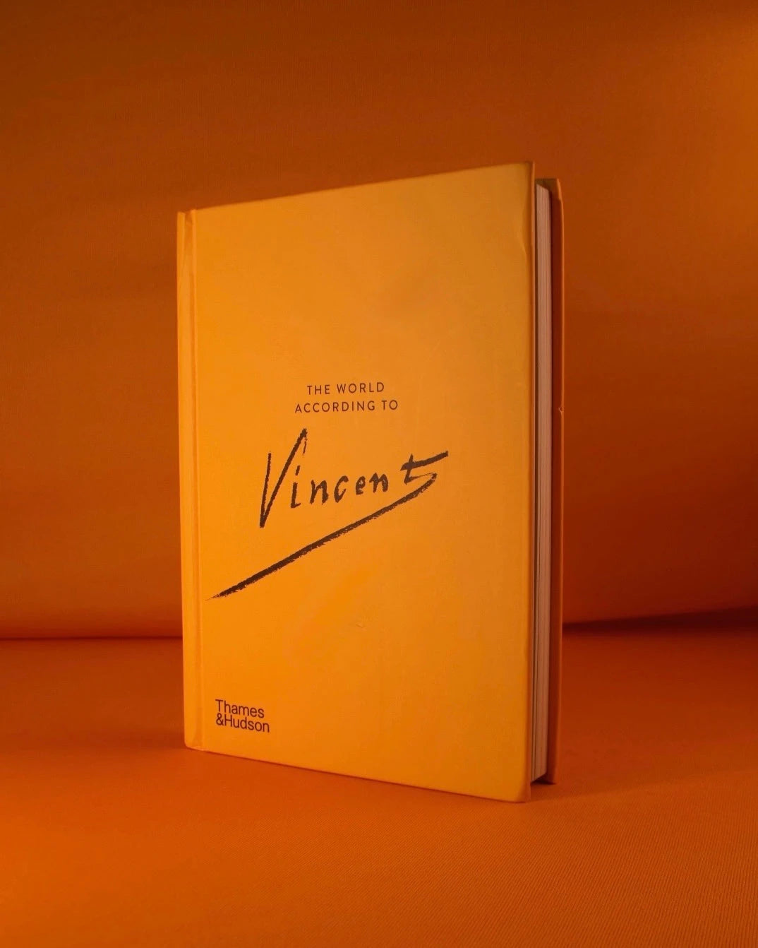 Livro The World According To Vincent Van Gogh: 7 Thames & Hudson - Modern Mood [WEBP]