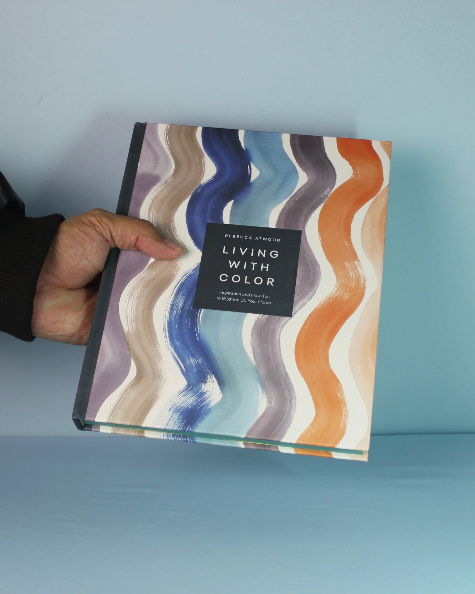 Livro Living With Color - Inspiration And How-tos To Brighten Up Your Home Rizzoli [WEBP]