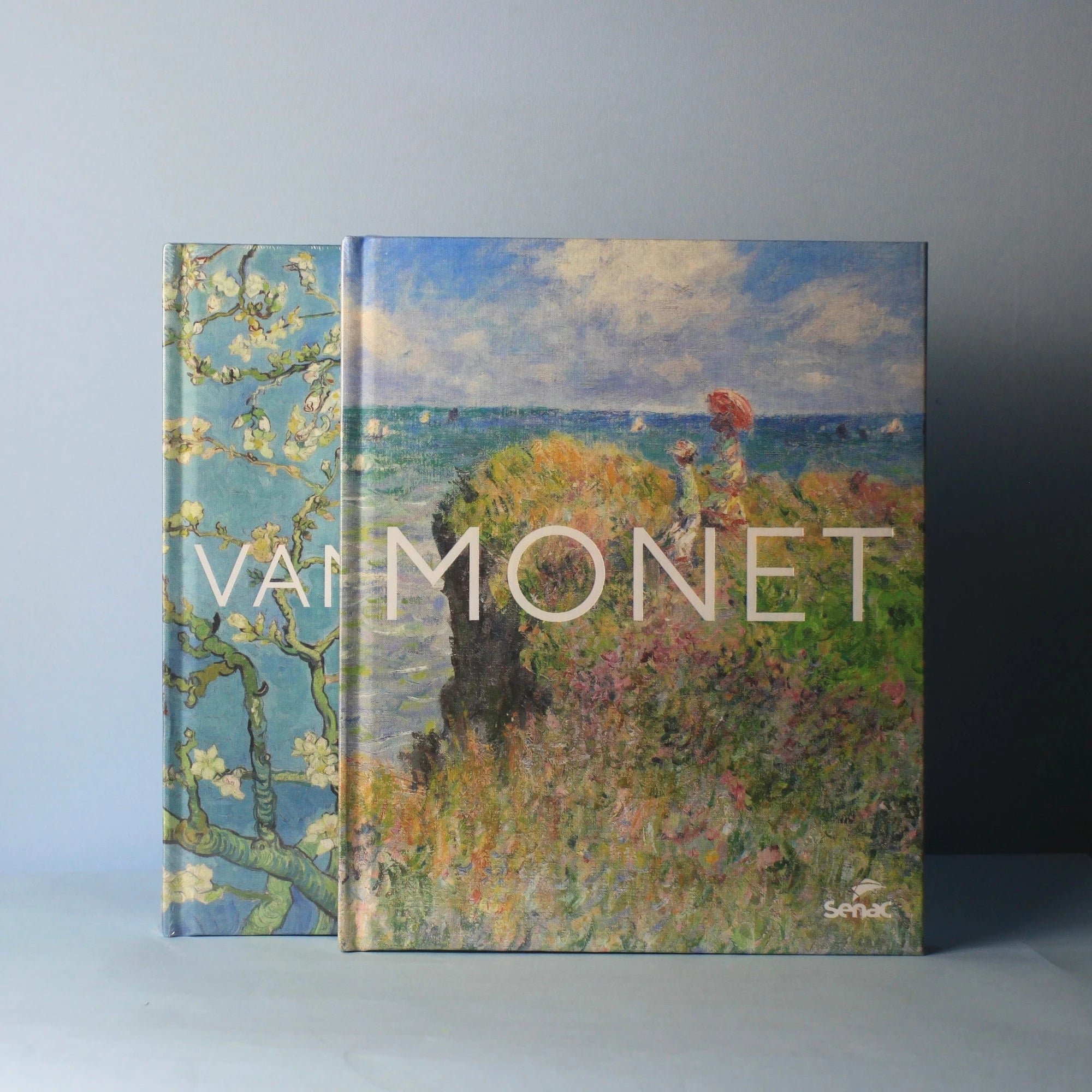 Livro Van Gogh - Modern Mood [WEBP]