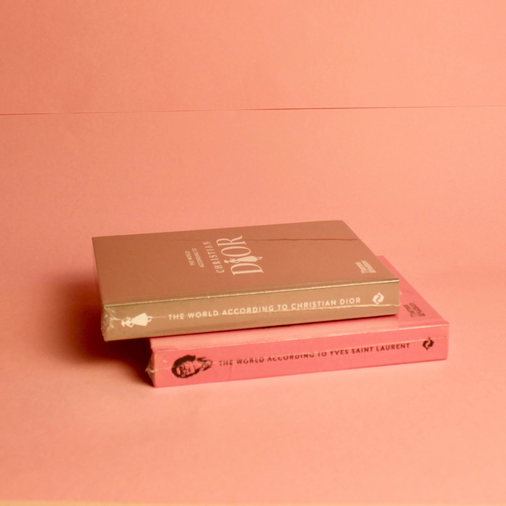 Livro The World According To Christian Dior Thames & Hudson - Modern Mood [WEBP]