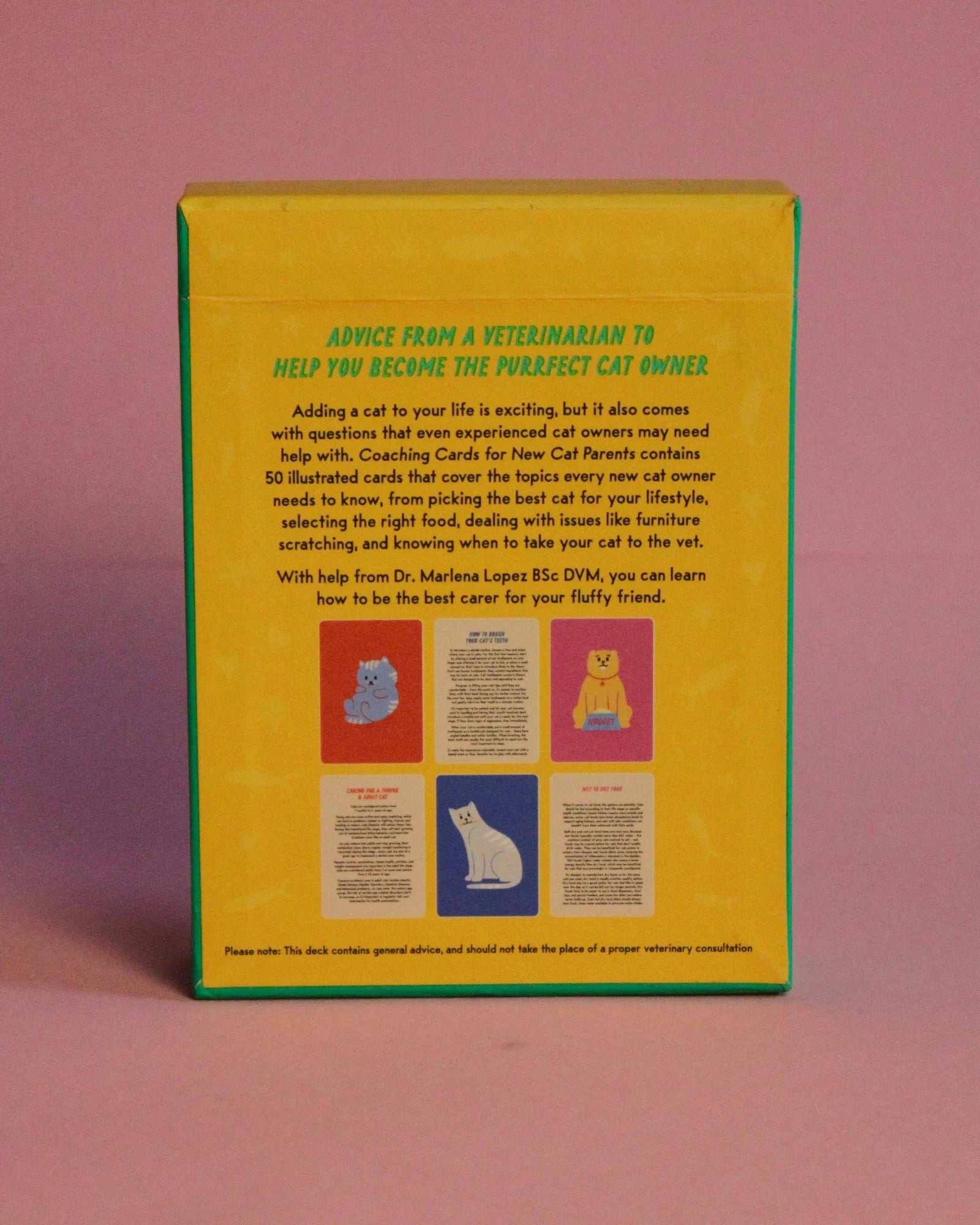 Livro Cartas for New Cat Parents - Para Novos Pais de Gatos - Modern Mood [WEBP]