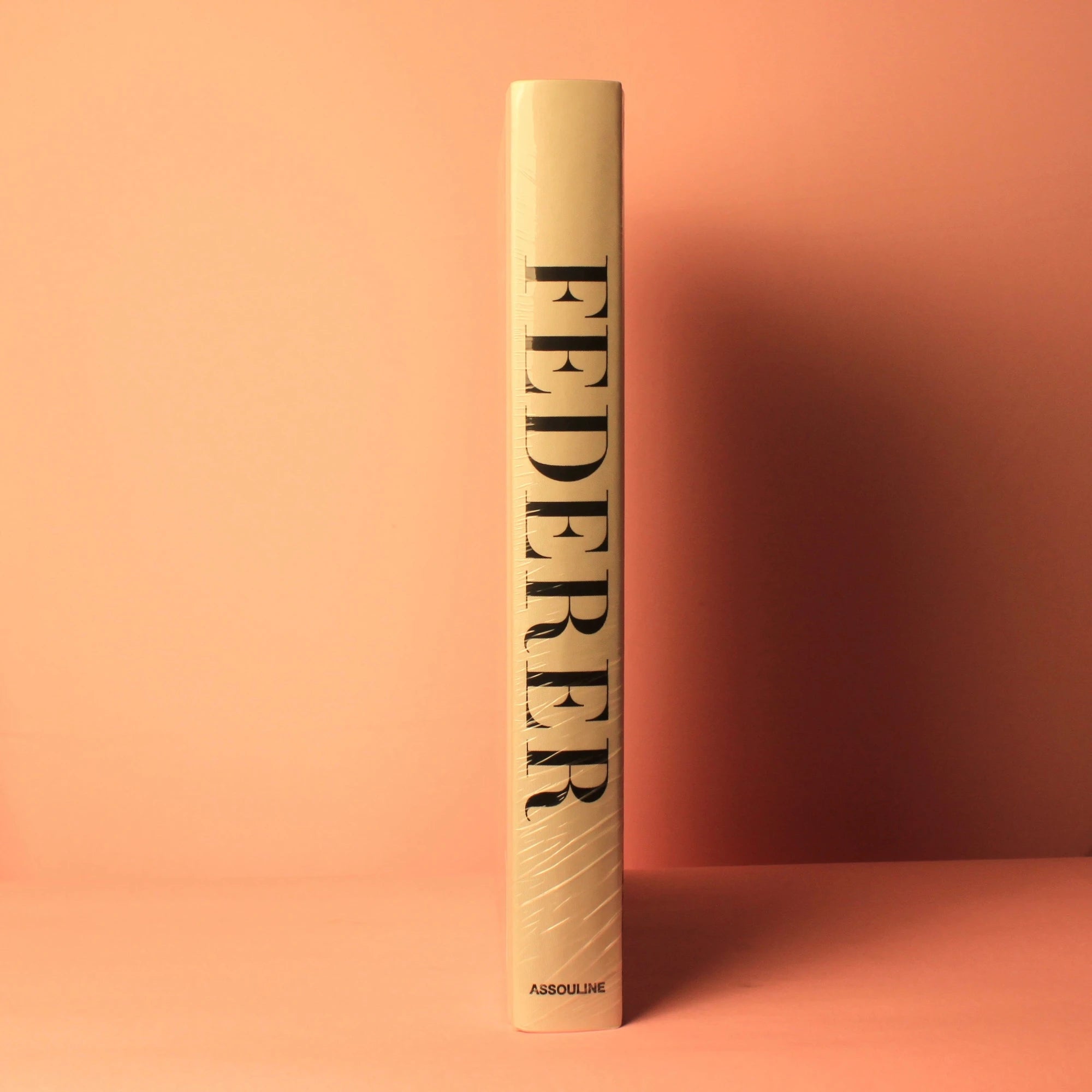 Livro Federer Assouline - Modern Mood [WEBP]