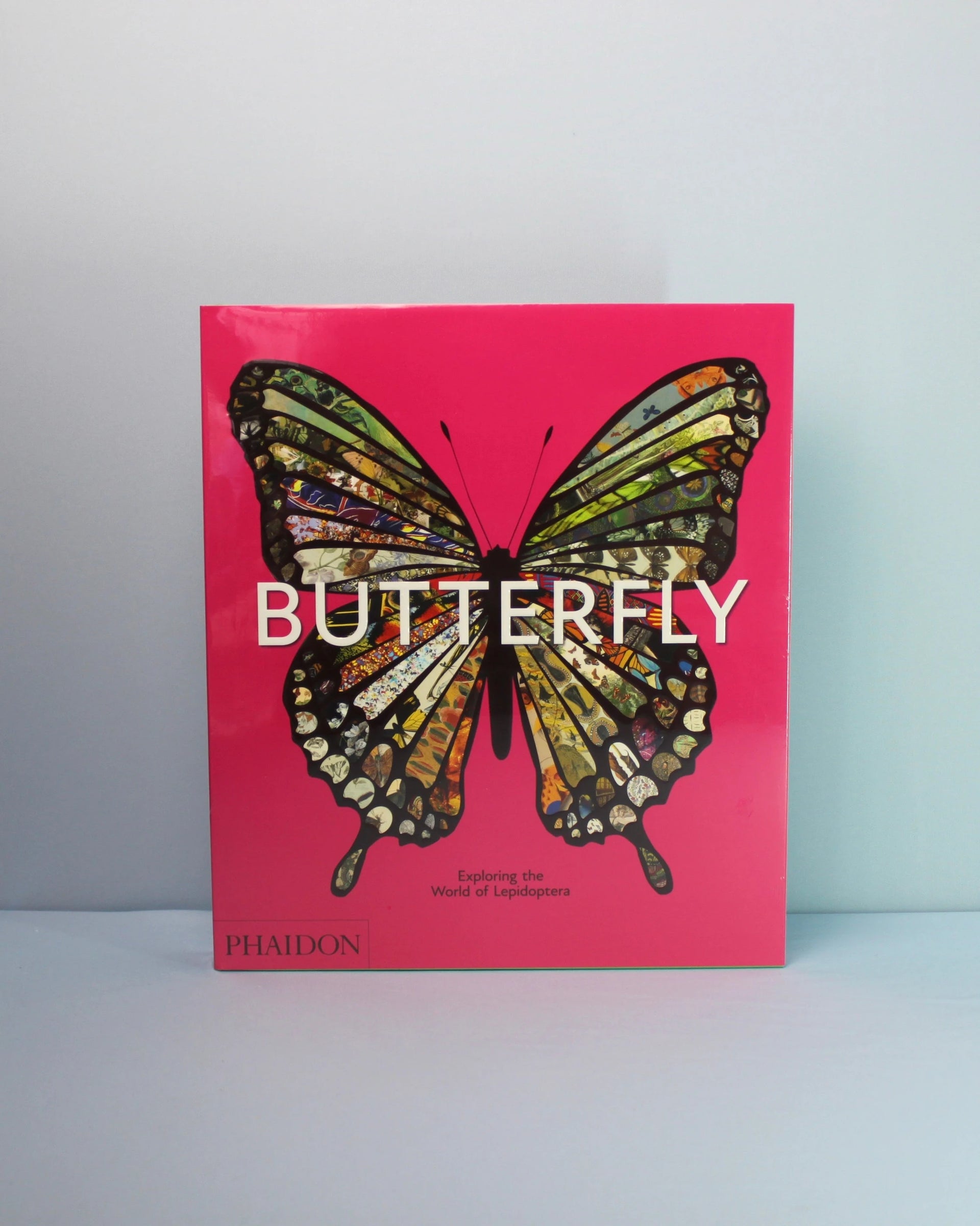 Livro Butterfly: Exploring The World Of Lepidoptera Hachette Book Group - Usa [WEBP]