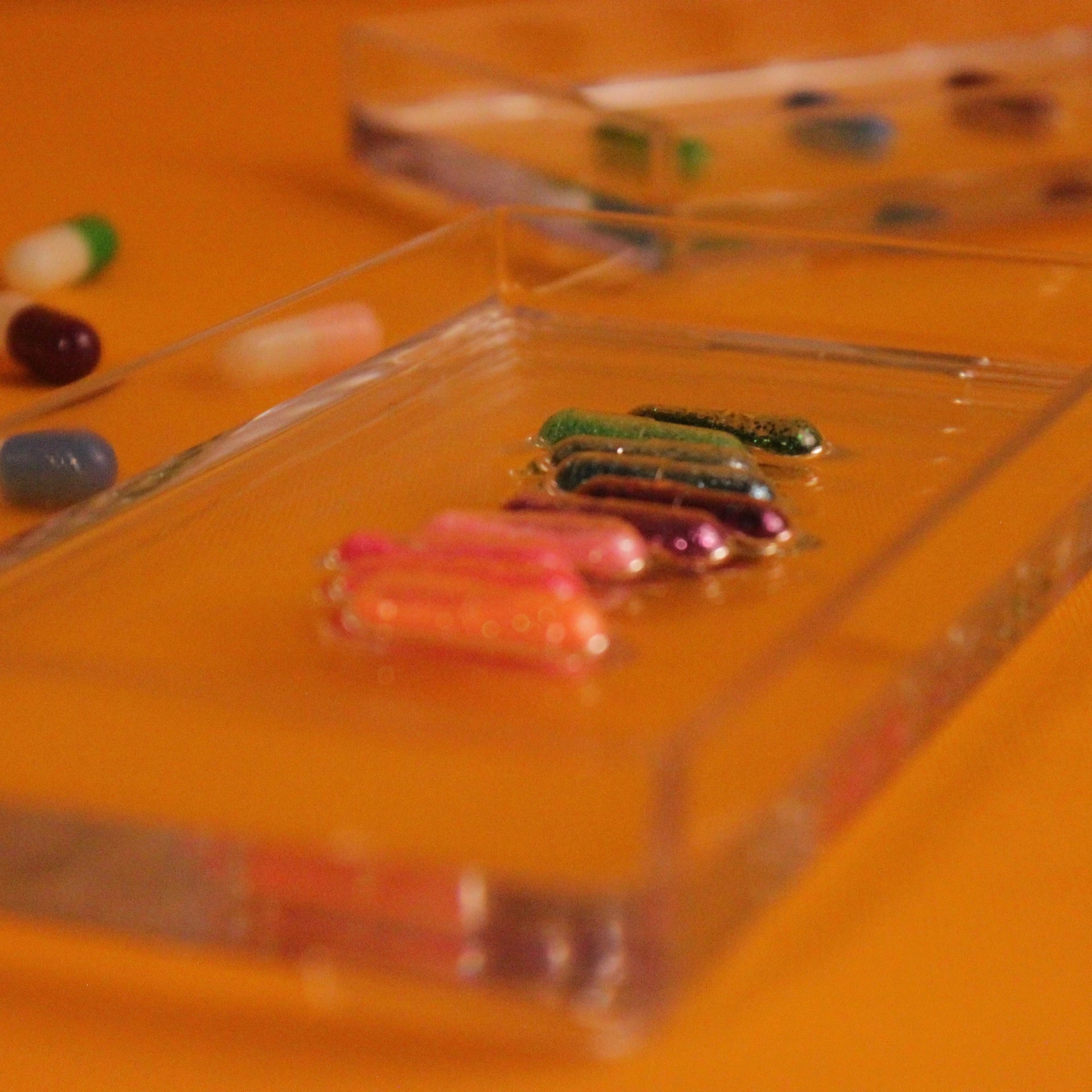 Labs Tray - Bandeja de Acrílico de Pilulas Coloridas - Modern Mood [WEBP]
