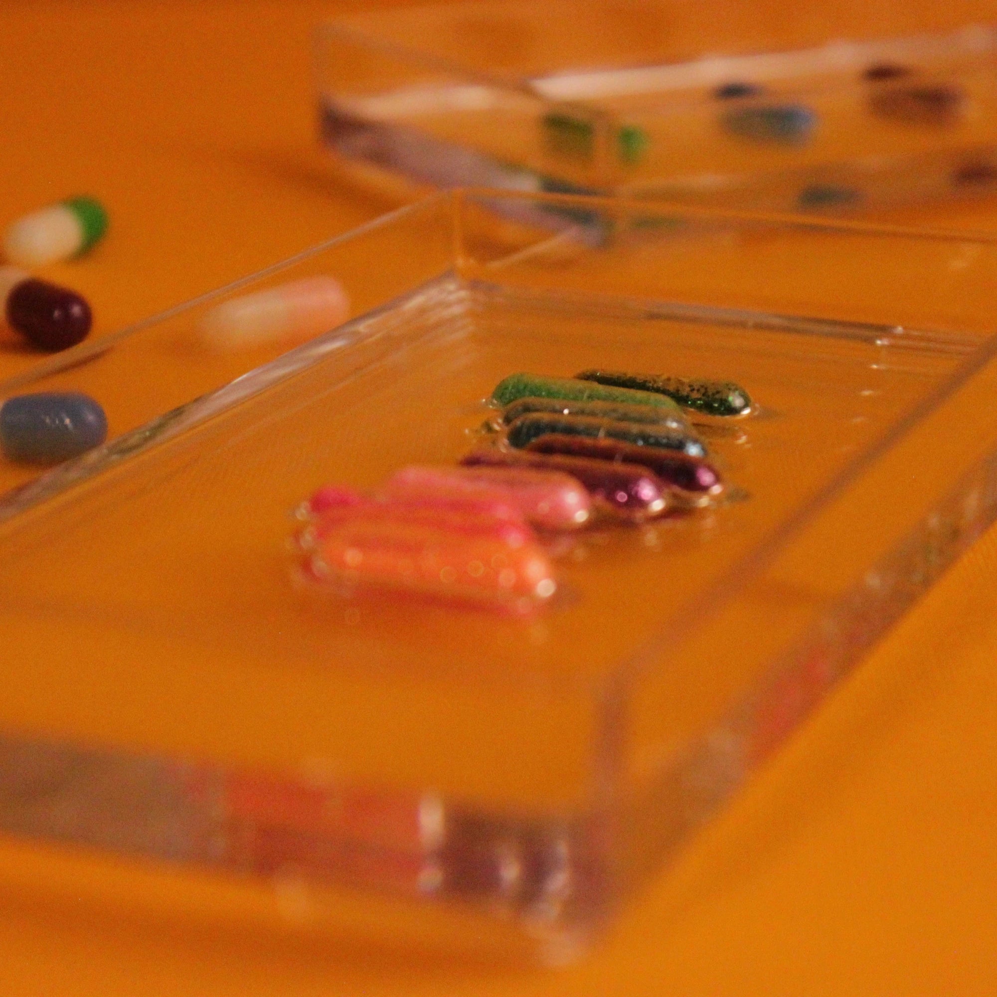 Labs Tray - Bandeja de Acrílico de Pilulas Coloridas - Modern Mood [WEBP]