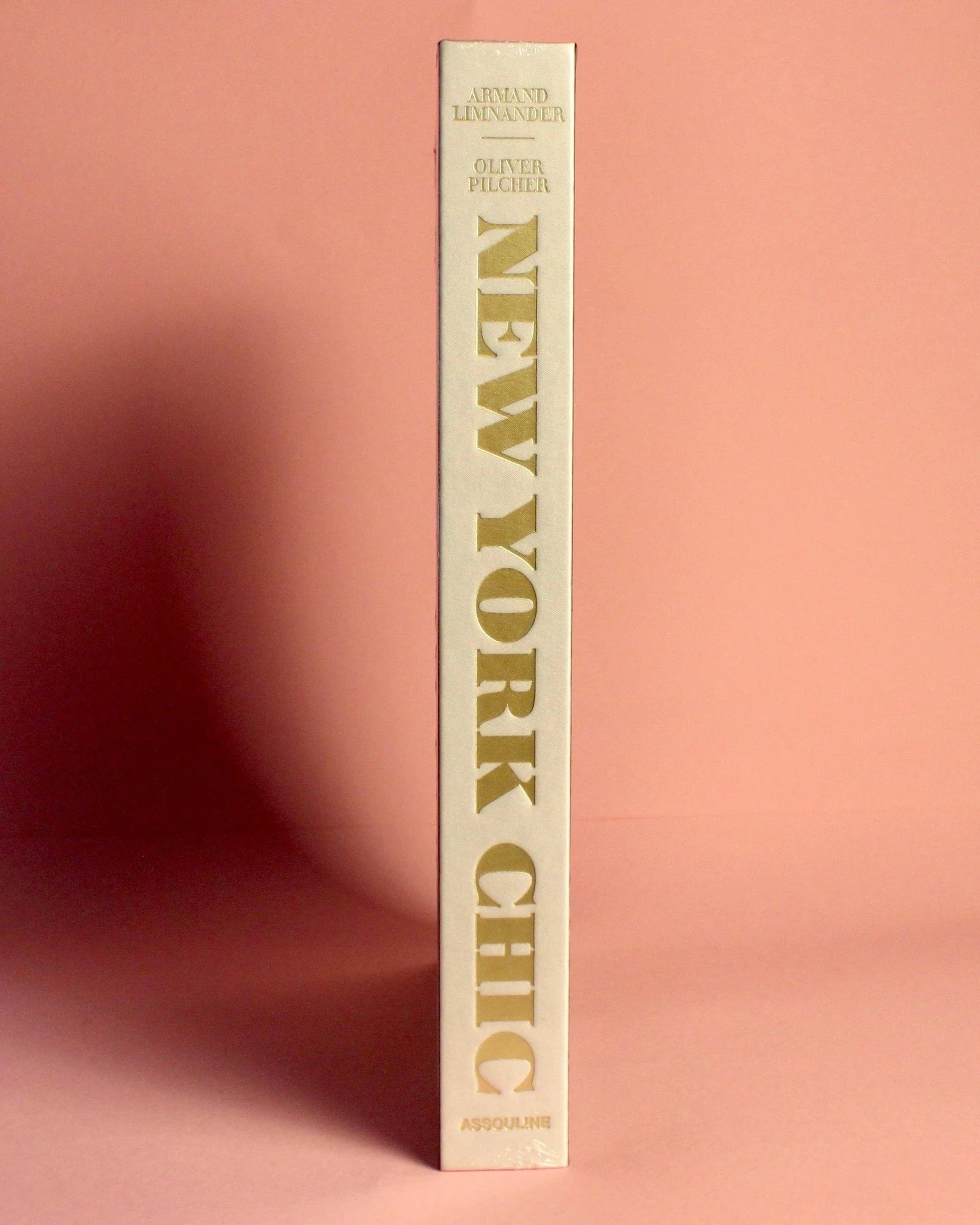 Livro New York Chic Assouline - Modern Mood [WEBP]