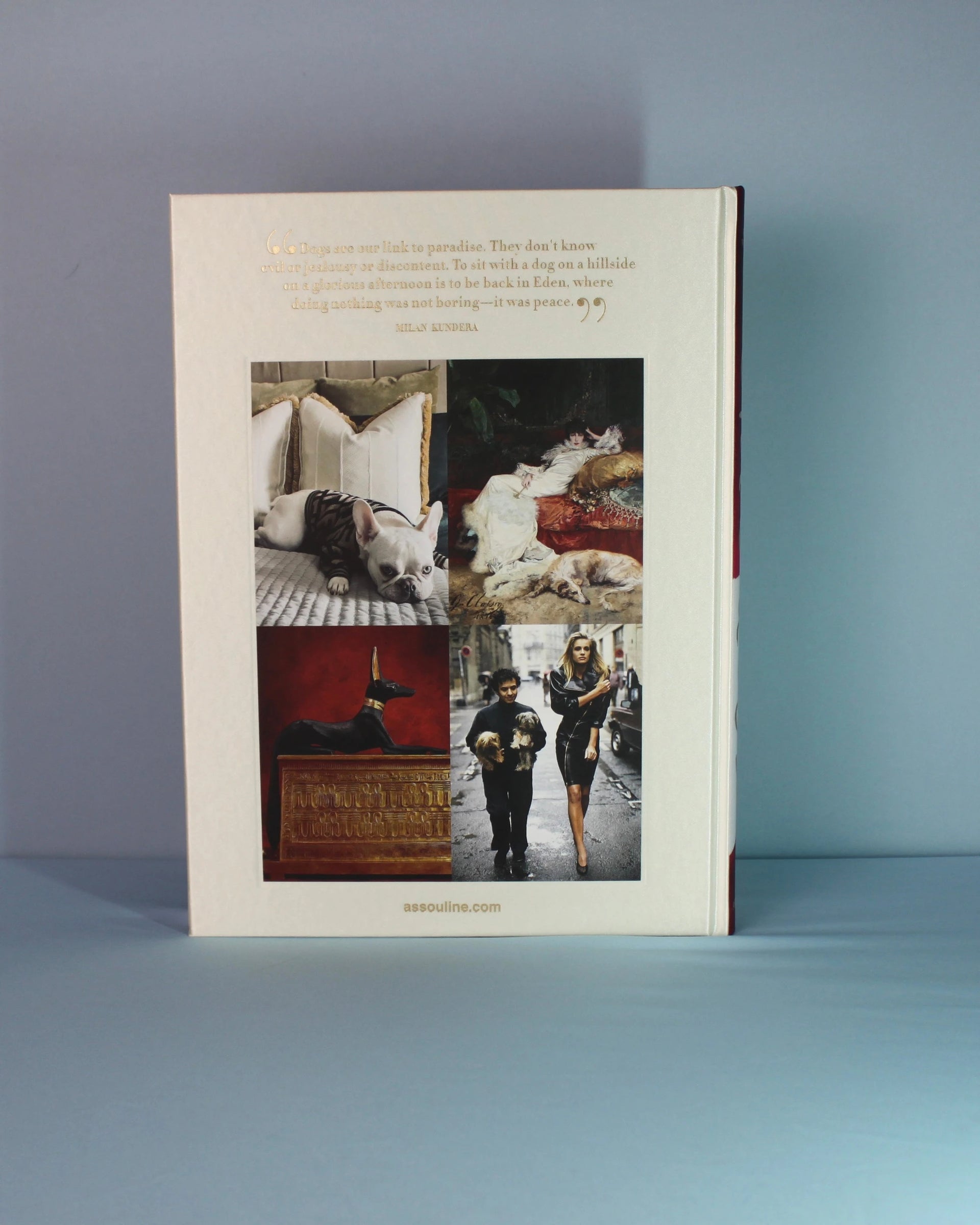 Livro Chic Dogs Assouline [WEBP]