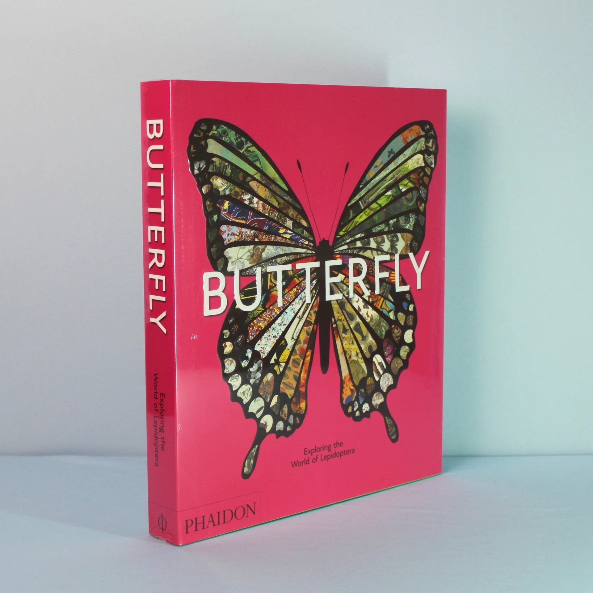 Livro Butterfly Exploring The World Of Lepidoptera em capa dura, coffee table book de borboletas para decoração [WEBP]