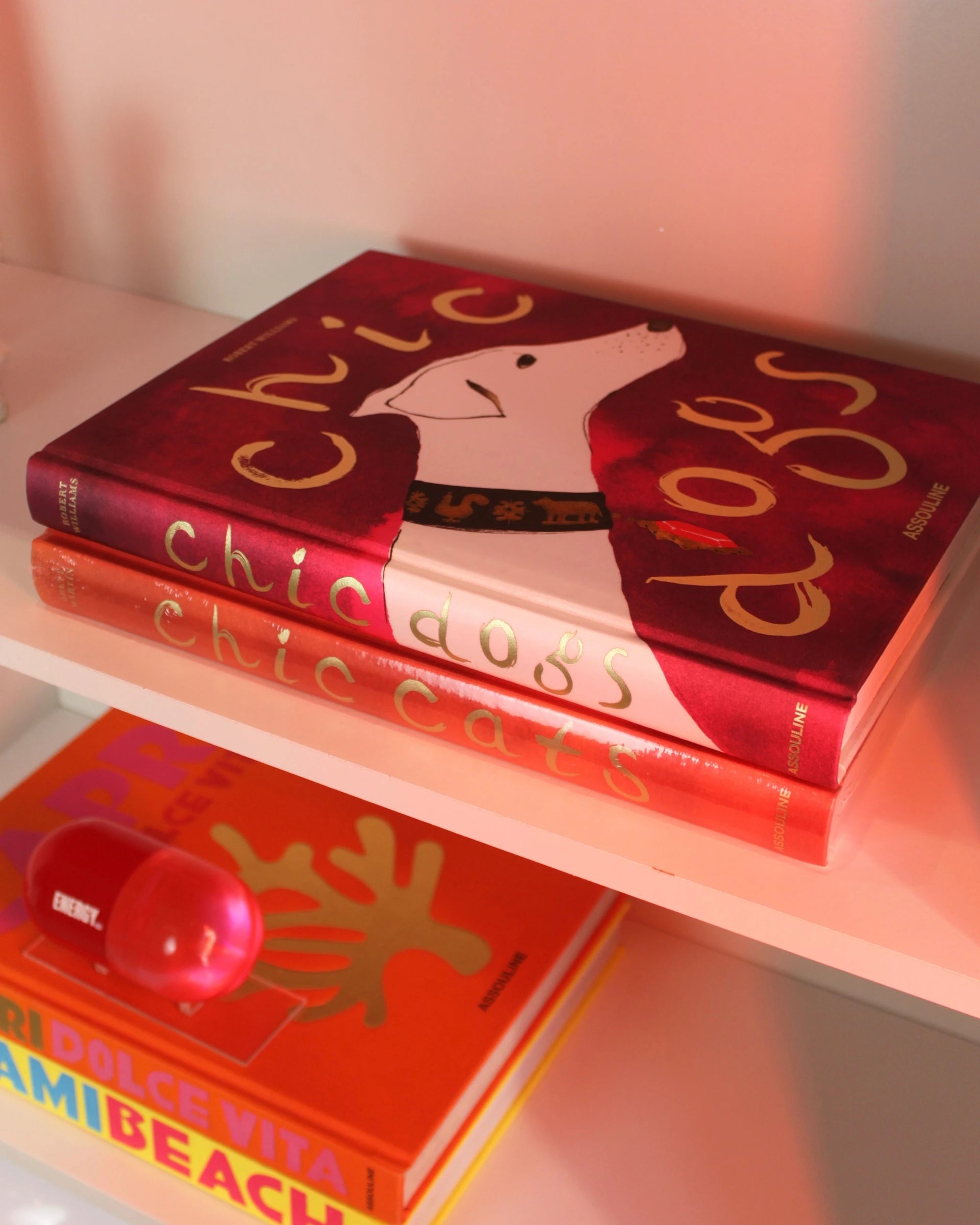 Livro Chic Dogs Assouline [WEBP]