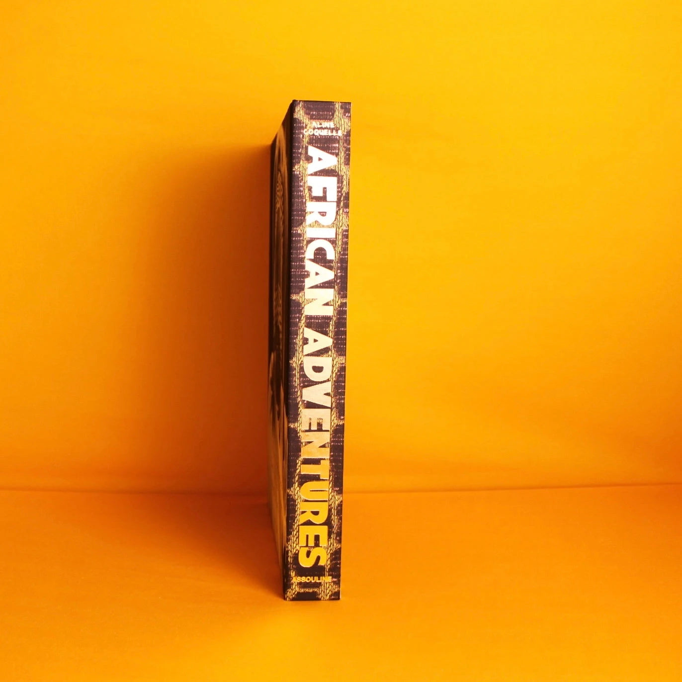 Livro African Adventures Assouline - Modern Mood [WEBP]