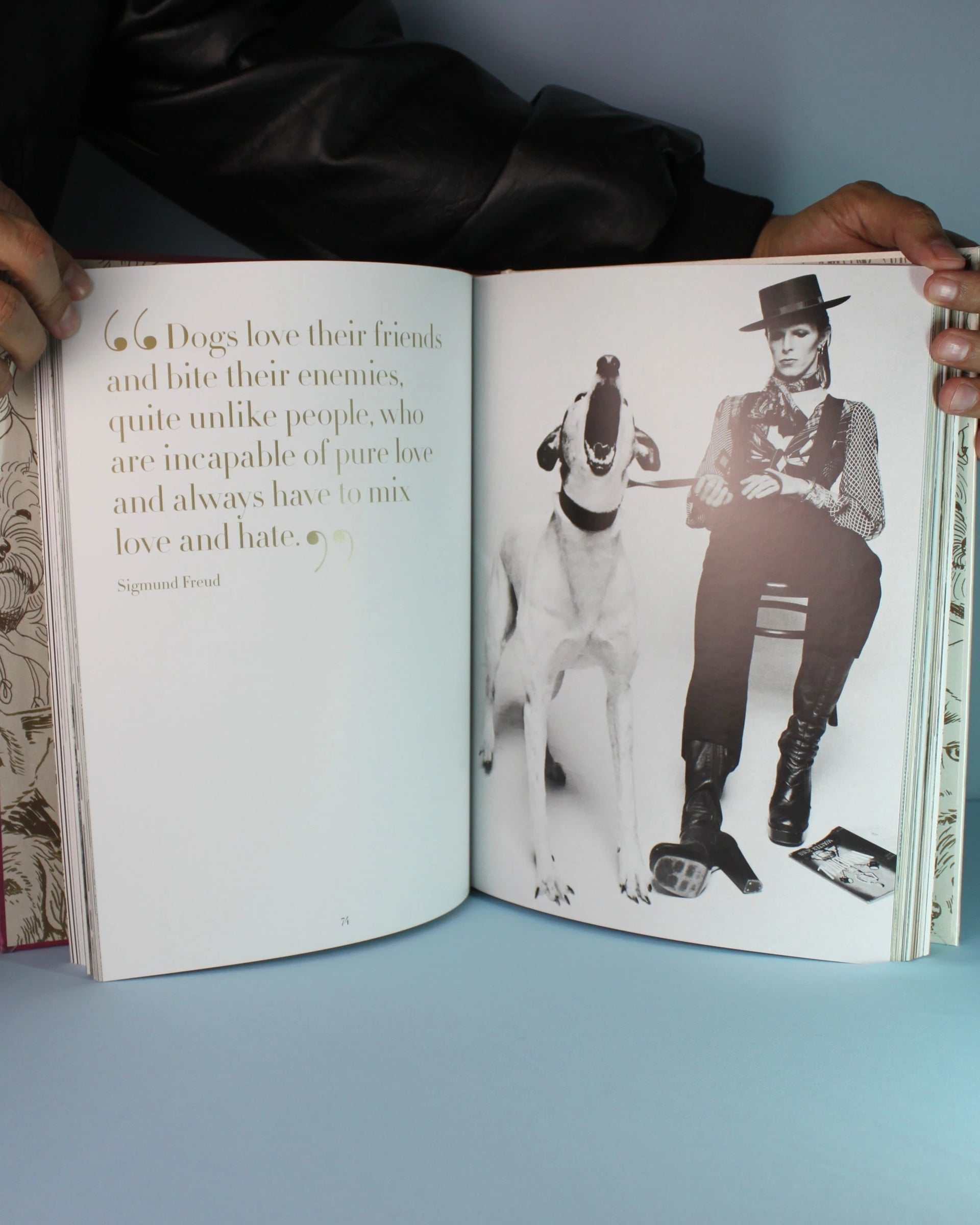 Livro Chic Dogs Assouline [WEBP]