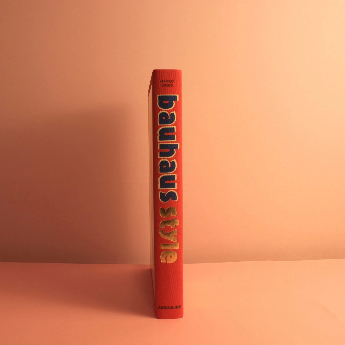 Livro Bauhaus Style Assouline - Modern Mood [WEBP]