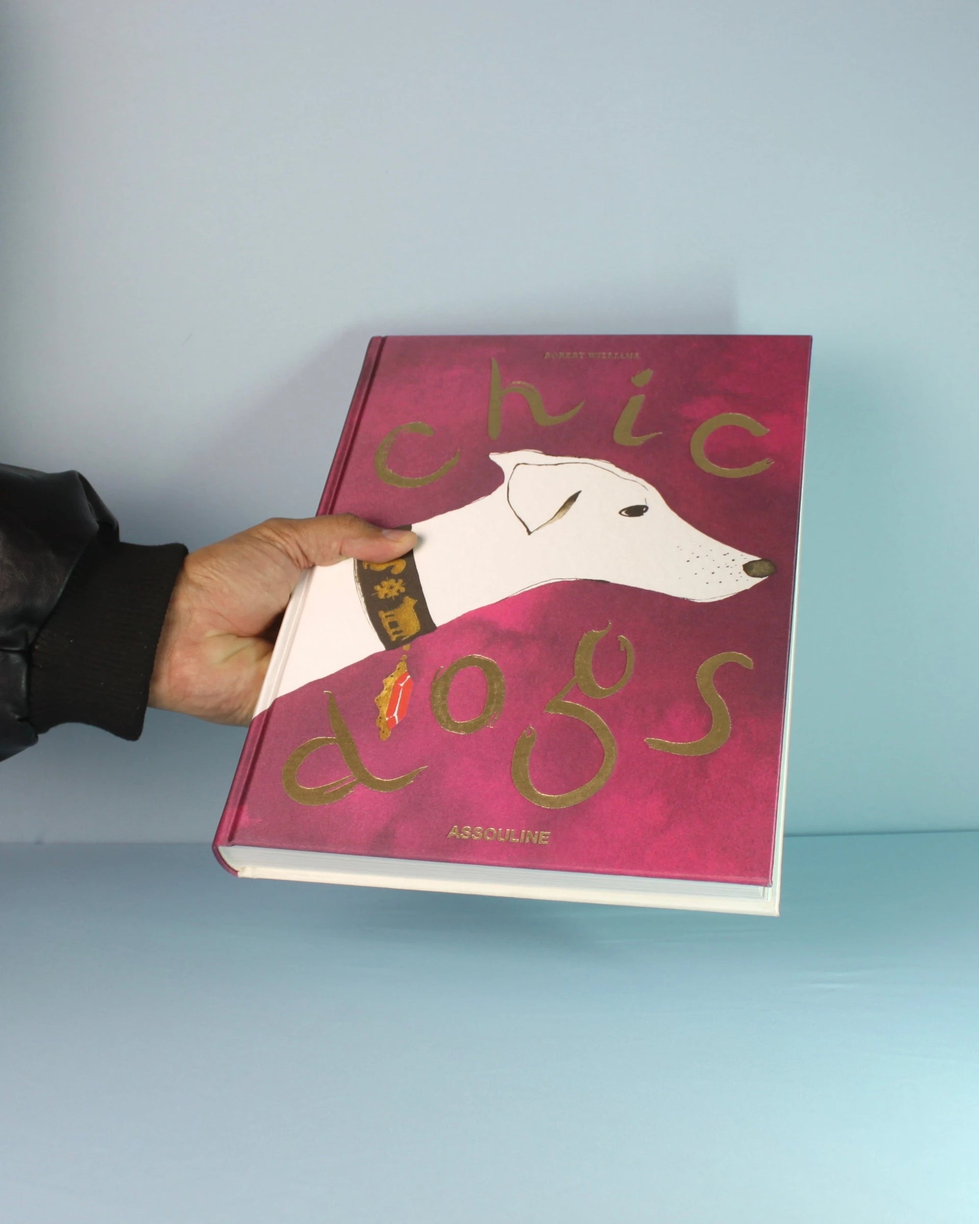 Livro Chic Dogs Assouline [WEBP]