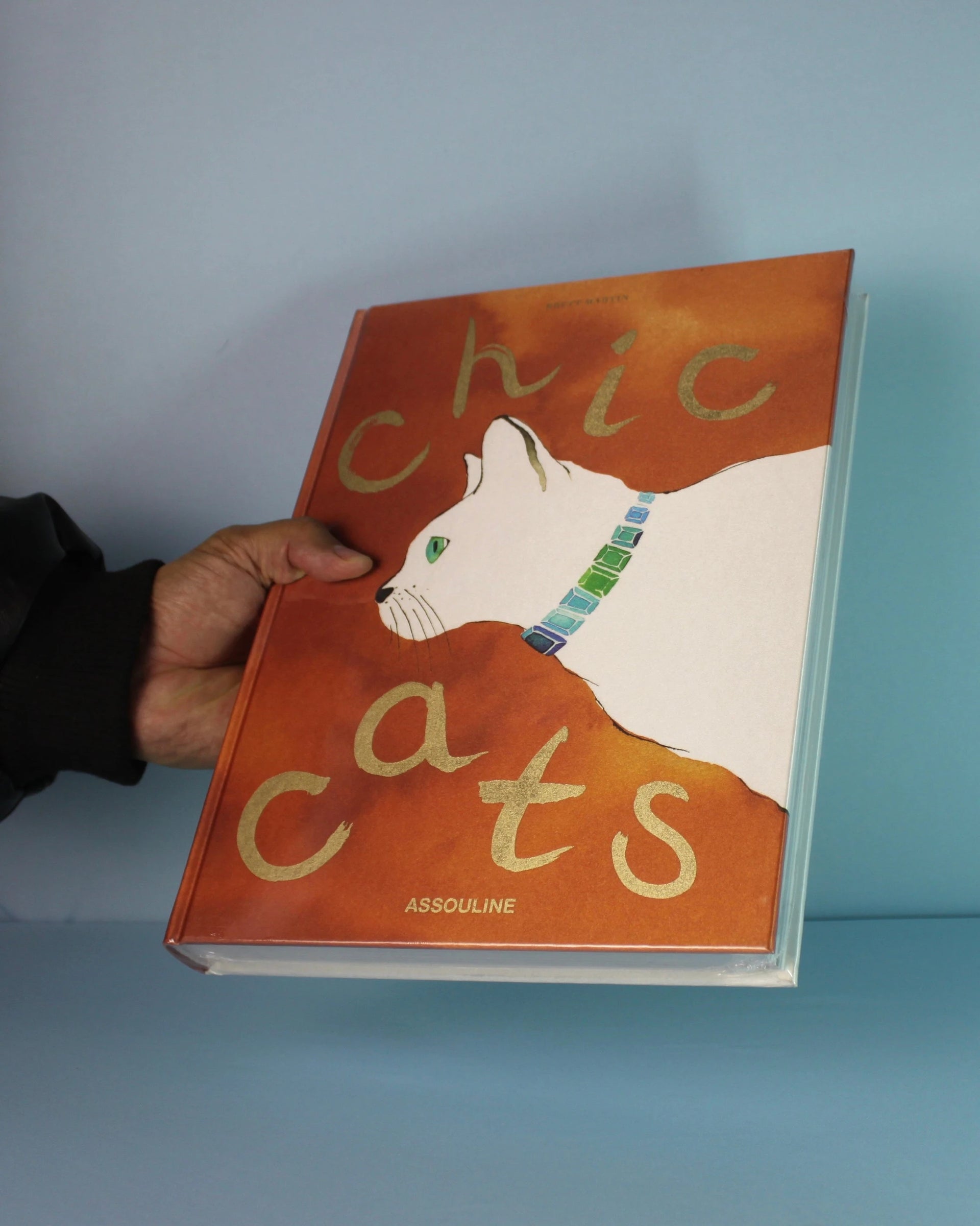 Livro Chic Cats Assouline [WEBP]