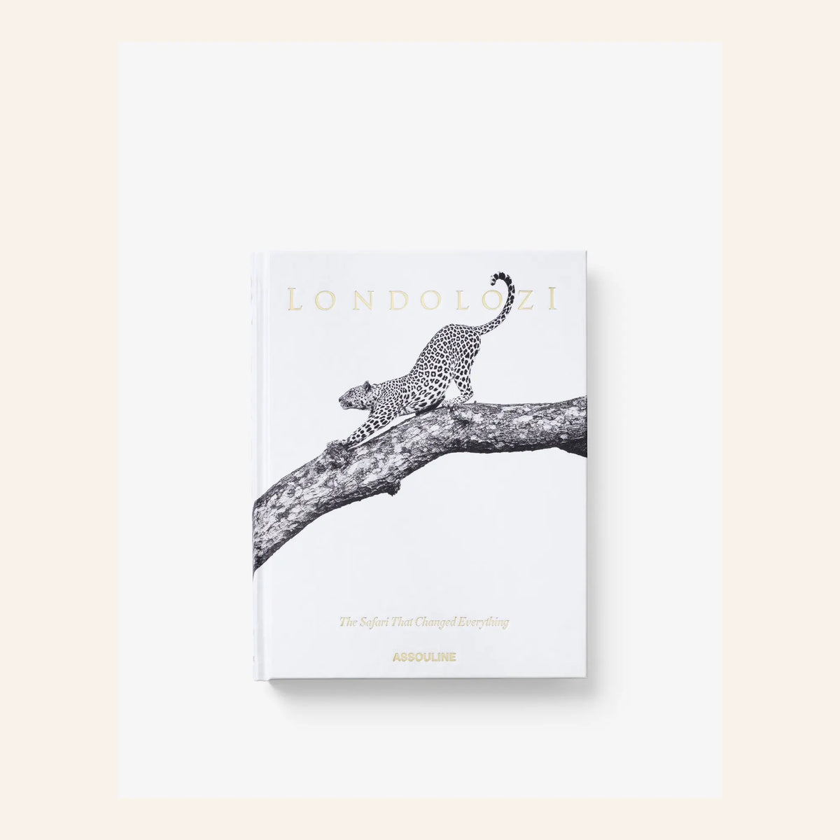 Livro Londolozi Assouline — imagem oficial 3
