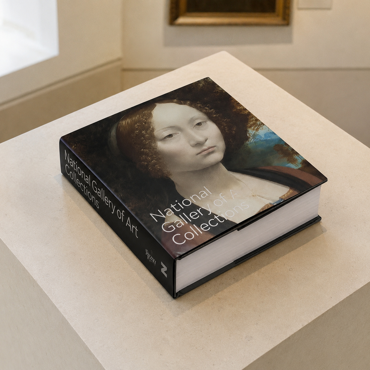 Livro National Gallery of Art Collections Rizzoli em composição de galeria
