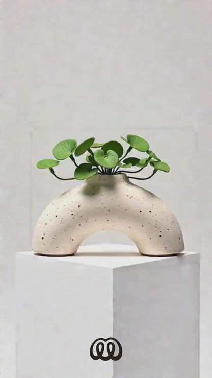 Vaso Curve