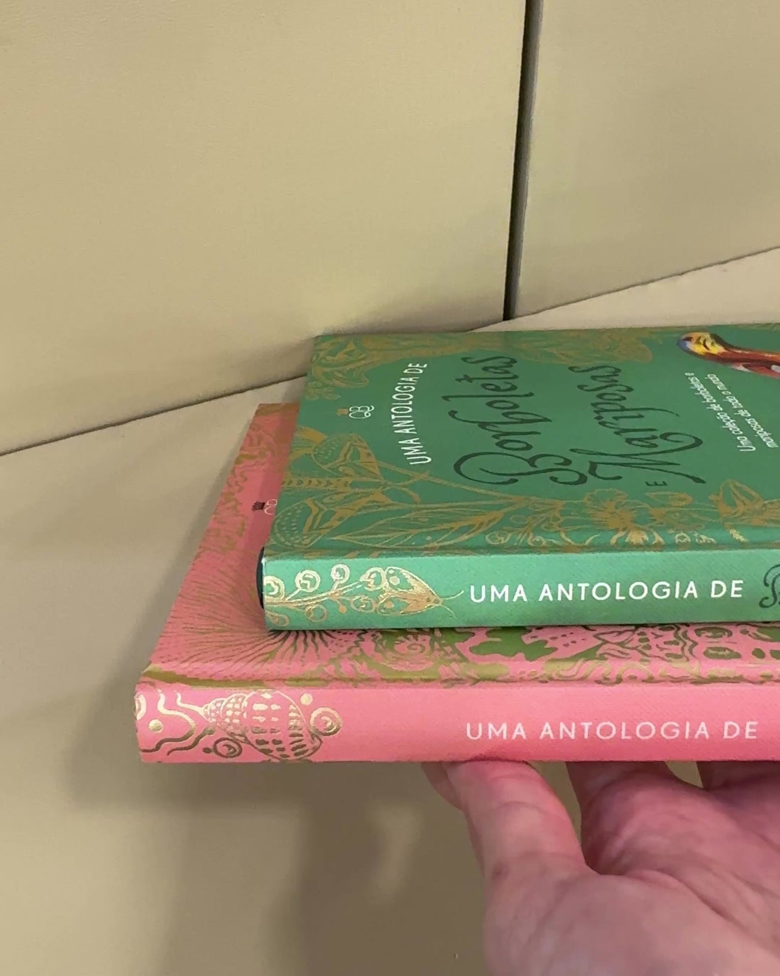 Livro Um Antologia de Conchas
